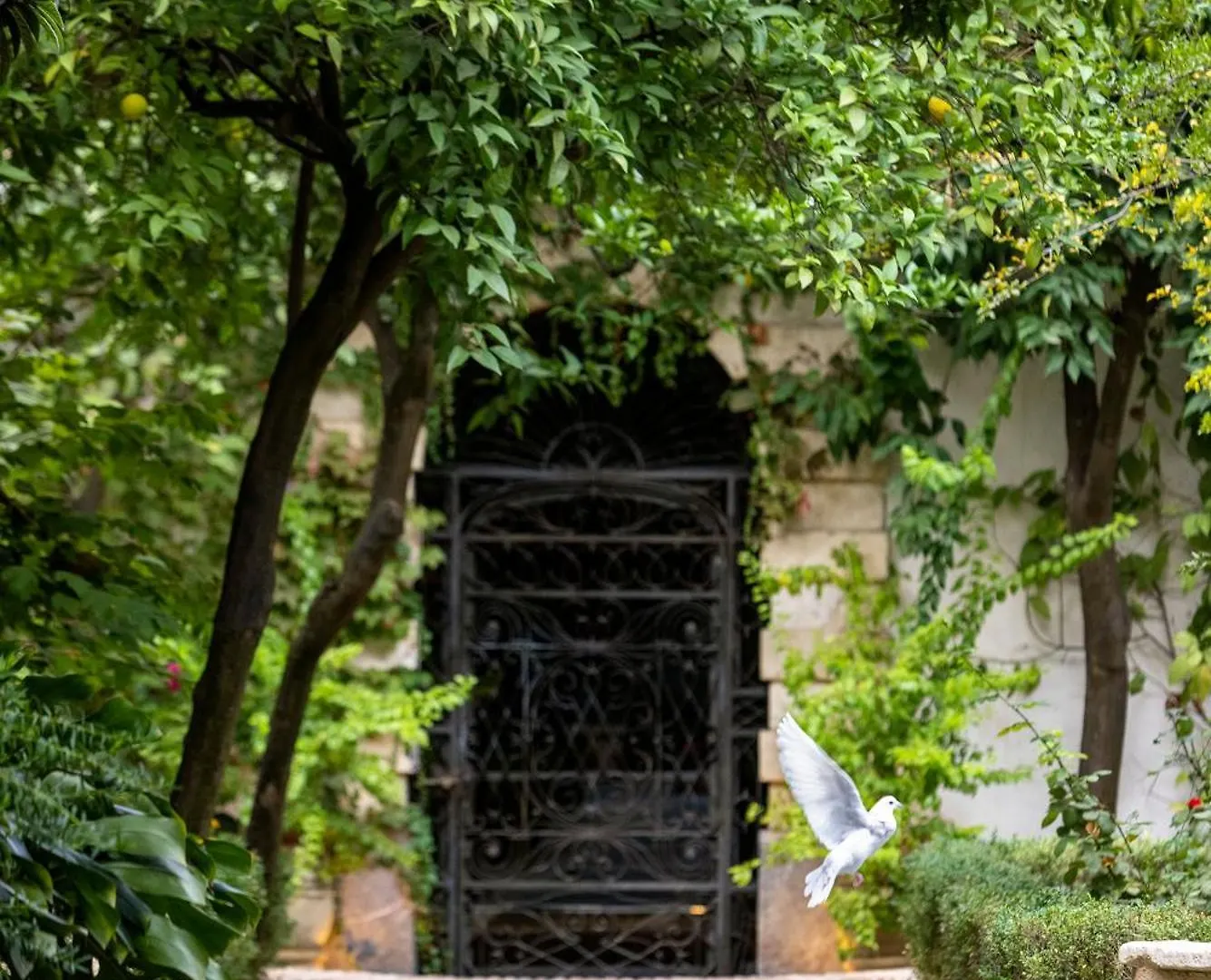 קורדובה Hospes Palacio Del Bailio, A Member Of Design Hotels